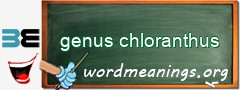 WordMeaning blackboard for genus chloranthus